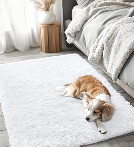 4x5 Machine Washable Accent Rug (4x5 Ft / White)