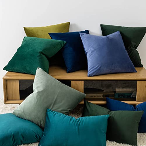 Decorative Velvet Throw Pillow Covers 20x20 Set of 2 (Peacock Blue / 20" x 20" (Pack of 2))