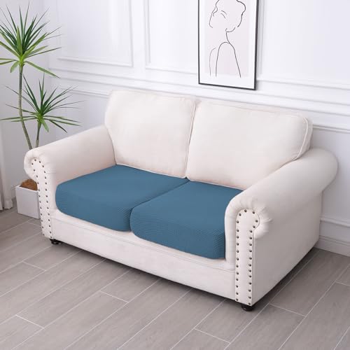 Waterproof Couch Cushion Covers for Pets (Blue / 2PCS)