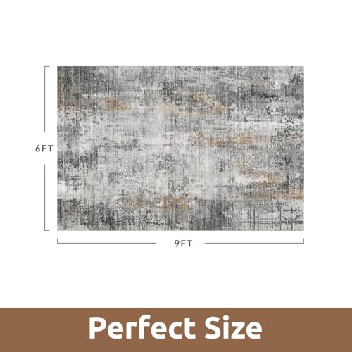 6 x 9 Area Rugs for Living Room (Grey / 6' x 9')