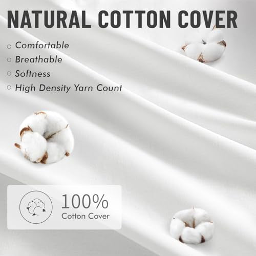 22x22 Inch Pillow Inserts Pack of 4 (22x22 Inch)
