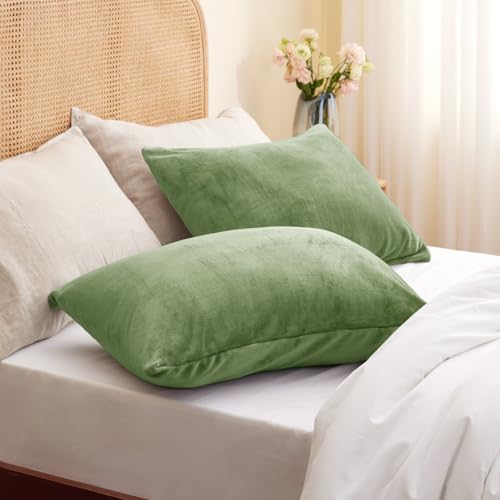 Flannel Pillowcases Standard Set of 2 (Sage Green / 26" x 20" (Pack of 2))