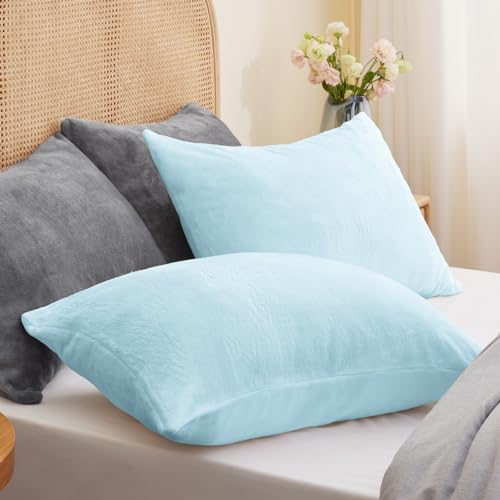 Flannel Pillowcases Standard Set of 2 (Blue / 26" x 20" (Pack of 2))