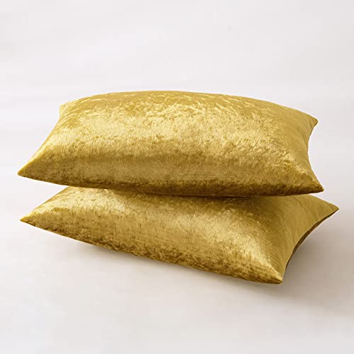 12x20 Inch Lumbar Velvet Throw Pillow Covers Golden (20" x 12" (Pack of 2) / Golden)