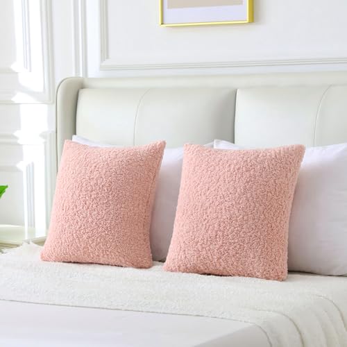 Pack of 2 Faux Fur Teddy Boucle Pillow Covers 24x24 Inch (Pink / 24" x 24" (Pack of 2))