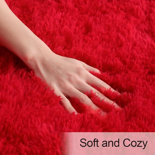 Premium Soft Fluffy Area Rug Modern Shag Carpet (3' x 5' (Rectangular) / Red)