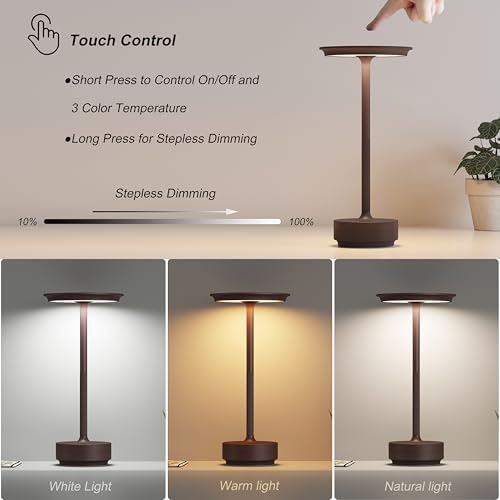 1 Pack Rechargeable Table Lamps Cordless (Rust-1)