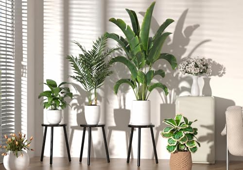 Wood Plant Stands Indoor (Black / 1 Pack)