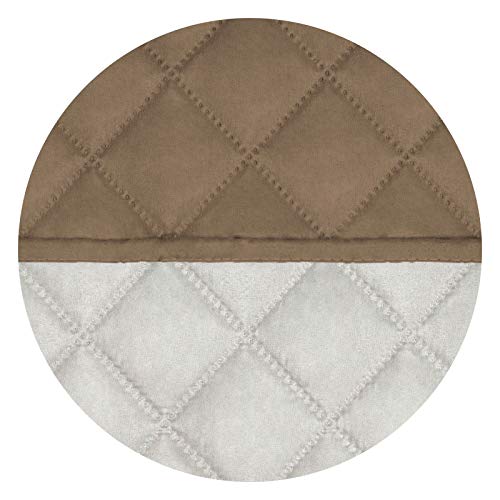 Reversible Recliner Chair Covers Couch Covers for Dogs (Large Recliner / Camel/Ivory)