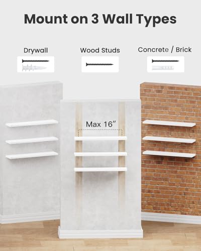 Amada 23.6" Floating Shelves for Wall Decor & Storage (White / 23.6 Inches)