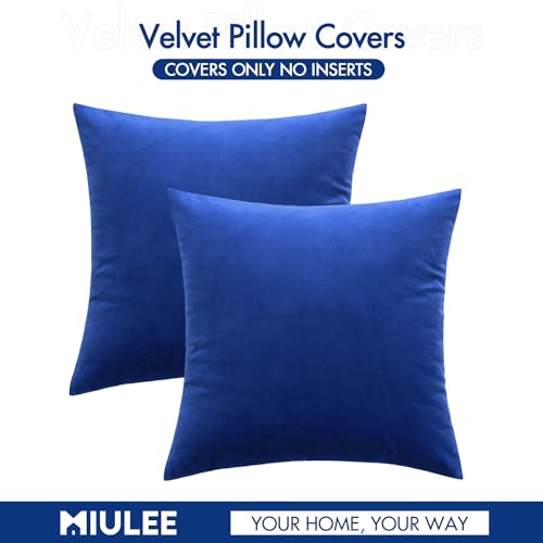 Velvet Throw Pillow Covers 20x20 Inch Pack of 2 Royal Blue (20" x 20" (Pack of 2) / Royal Blue)