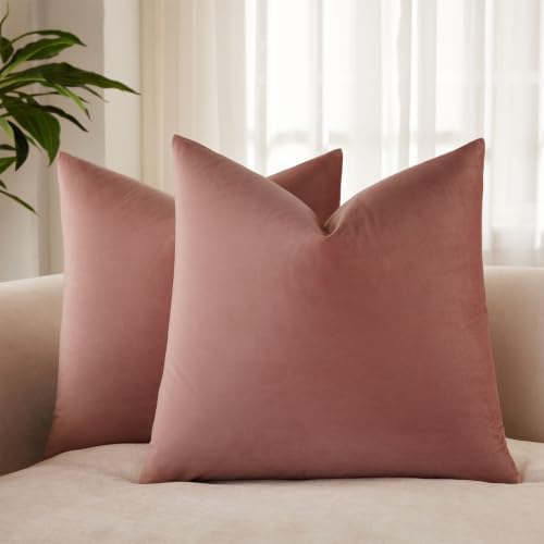 Decorative Velvet Throw Pillow Covers 18x18 Set of 2 (Jam / 18" x 18" (Pack of 2))