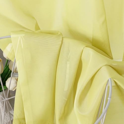 Lemon Sheer Curtains 63 Inch Length 2 Panels Set for Living Room (42"W x 63"L (Pack of 2) / Lemon)