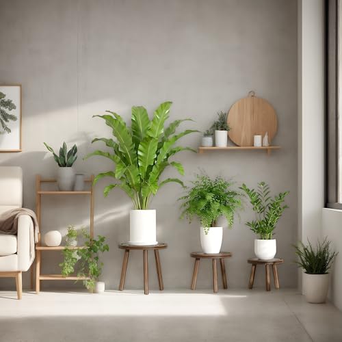 3 Pack Wood Plant Stands Indoor (heavy burnt color / 3 Pack)