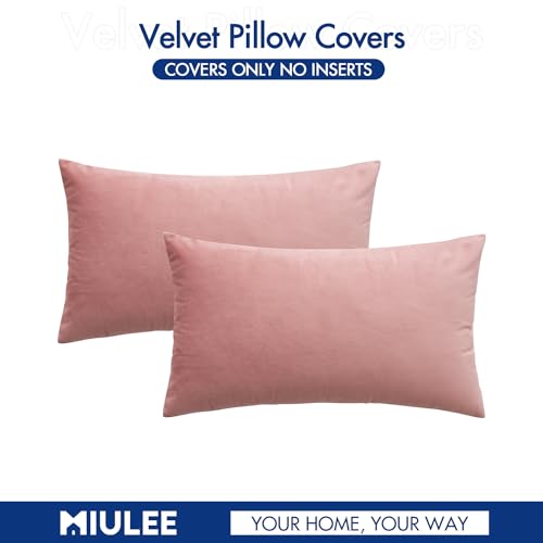 12x20 Inch Lumbar Velvet Throw Pillow Covers Dusty Pink (20" x 12" (Pack of 2) / Dusty Pink)