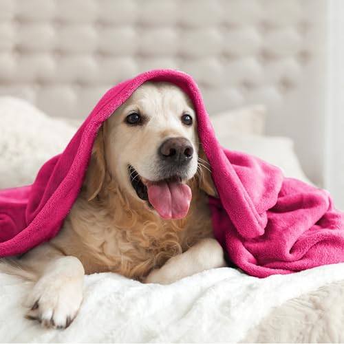 Fleece Blanket Soft Plush Twin Size Blanket Hot Pink 60"x80" (Hot Pink / Twin(60"x80"))