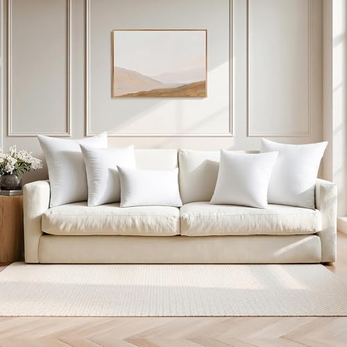 22x22 Inch Pillow Inserts Pack of 4 (22x22 Inch)