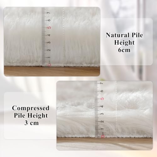 White Faux Sheepskin Shag Fur Rug Washable Area Rugs for Living Room Nursery Rugs for Bedroom 2x3 Rectange Rug Cute Home Décor (2' x 3' (Rectangular) / White)