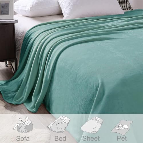 Soft Fleece Blanket Queen Size for Bed (Celadon / Queen (90" x 90"))