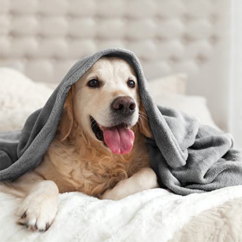Fleece Blanket Soft Plush Queen Size Bed Blanket Grey 90"x90" (Grey / Queen(90"x90"))