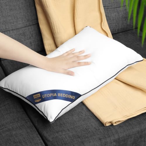 Premium Piping Throw Pillows 12x20 (12x20 Inch)