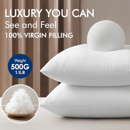 12x12 Inch Pillow Inserts Pack of 4 (12x12 Inch)