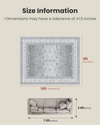 Amada 8x10 Washable Area Rug for Living Room (8' x 10' (Rectangular) / Silver/Gray)