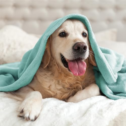 Fleece Blanket Soft Plush Twin Size Blanket Haze Blue 60"x80" (Haze Blue / Twin(60"x80"))
