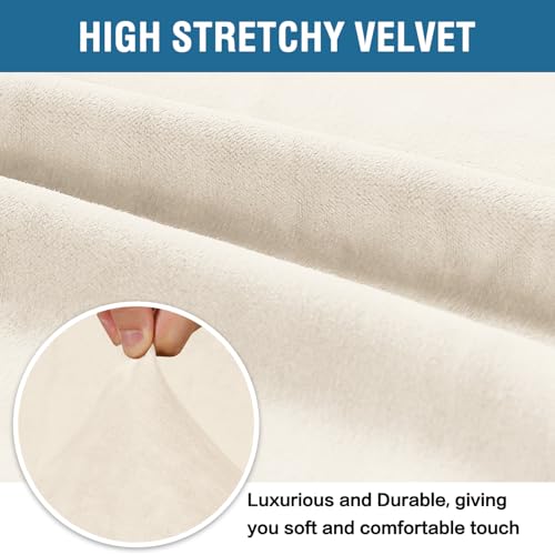 Stretch Velvet Armchair Cover Couch Covers 1 Cushion Chair Slipcover for Living Room Furniture Cover Crafted from Thick Comfy Rich Velour (Cream / Armchair)