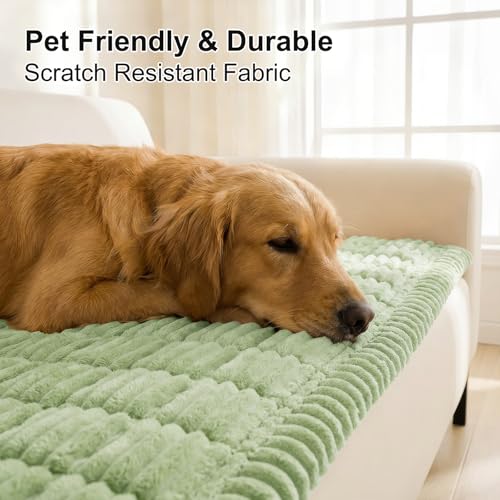 Couch Cover for Dogs (Green / 27.6"x70.9")