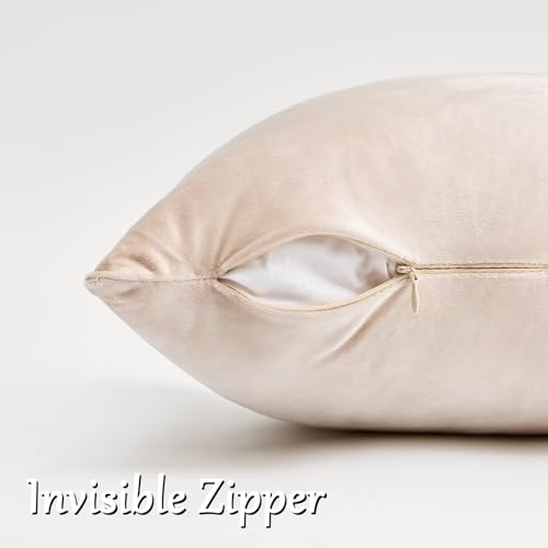 Velvet Pillow Covers 16x16 Decorative Pillows Pack of 2 Beige (Champagne / 16" x 16" (Pack of 2))