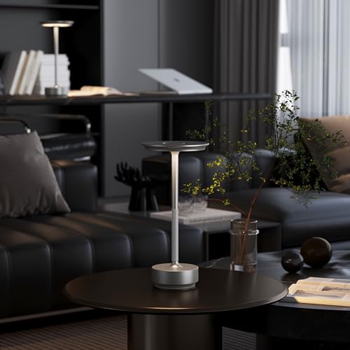 1 Pack Rechargeable Cordless Table Lamp (Silver-1)