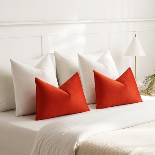 Euro Sham Covers 26x26 Ivory White (Cloud Danser / 26" x 26" (Pack of 2))