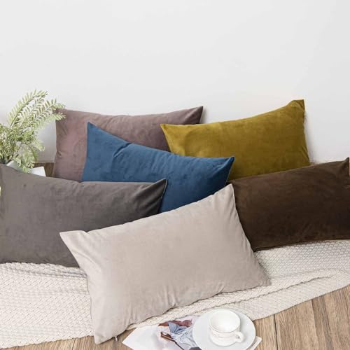 22x22 Decorative Velvet Throw Pillow Covers Set of 2 (Ash / 22" x 22" (Pack of 2))