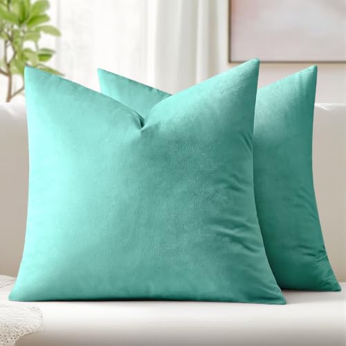 26x26 Inch Pack of 2 Euro Velvet Throw Pillow Covers Aqua Green (26" x 26" (Pack of 2) / Aqua Green)