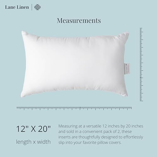 Decorative Pillow Inserts 12x20 4 (12x20 / 01: White)