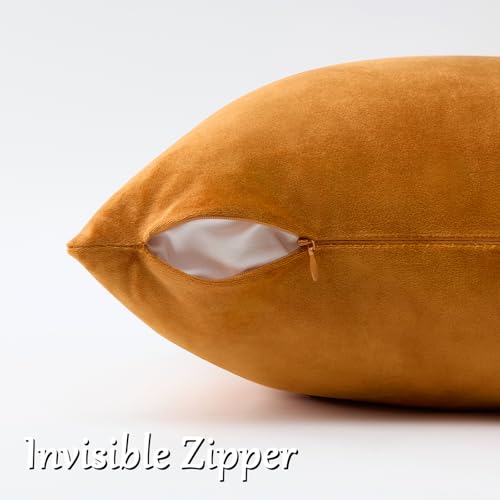 Orange Velvet Pillow Covers 26x26 Decorative Pillows Pack of 2 (Orange / 26" x 26" (Pack of 2))