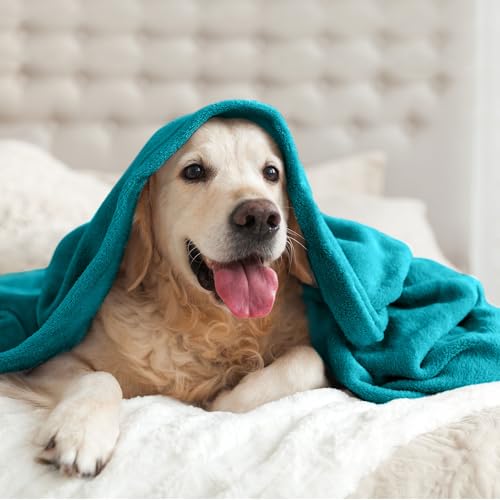 Fleece Blanket Soft Plush Queen Size Bed Blanket Teal Blue 90"x90" (Teal Blue / Queen(90"x90"))