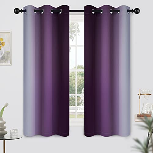 Ombre Curtains Purple and Greyish White for Living Room (42"W x 63"L (Pack of 2) / Purple)