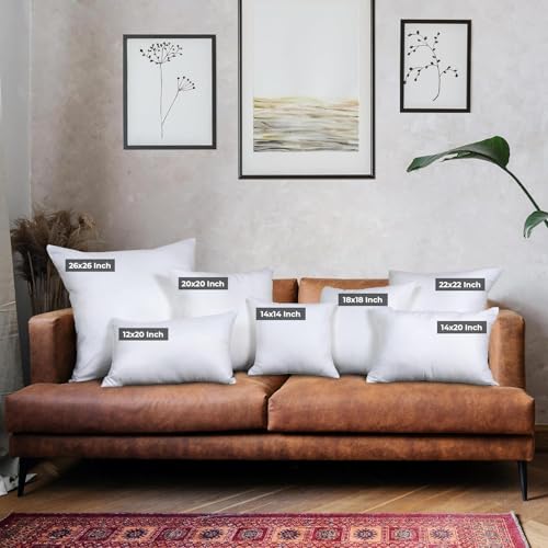 Throw Pillows (12x20 Inch)