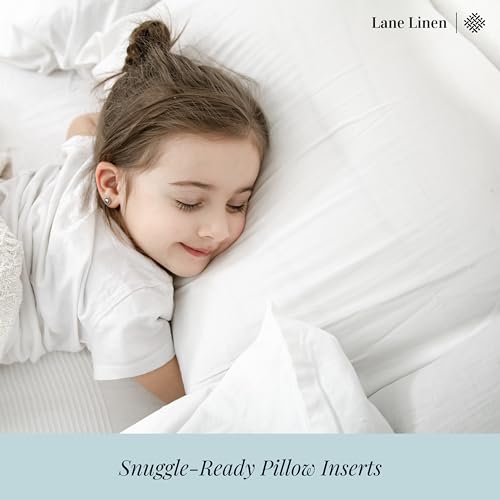 Decorative Pillow Inserts 12x20 4 (12x20 / 01: White)