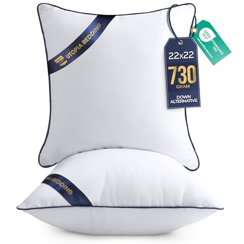 Premium Piping Throw Pillows 22x22 (22x22 Inch)