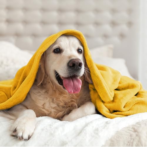 Fleece Blanket Soft Plush Throw for Couch Yellow 50"x60" (Yellow / Throw(50"x60"))