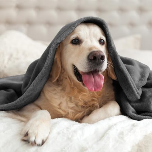 Fleece Blanket Soft Plush Throw for Couch Charcoal Grey 50"x70" (Charcoal Grey / Throw XL(50"x70"))