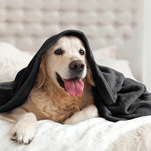 Fleece Blanket Soft Plush Twin Size Blanket Black 60"x80" (Black / Twin(60"x80"))