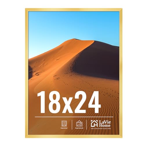 18x24 Picture Frame for Wall Display (Gold / 18x24)