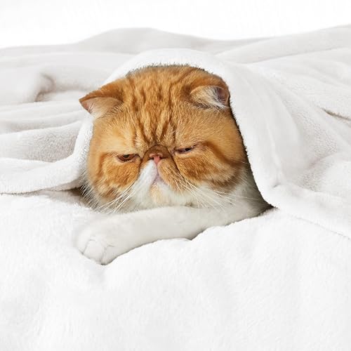 GentleSoft Fleece Bed Blankets Full Size White (04 - White / Full (84" x 90"))