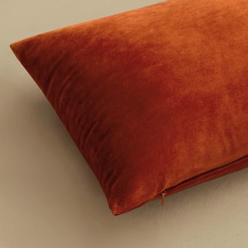 Velvet Fall Throw Pillow Covers 12x12 Inch Pack of 2 Burnt Orange (12" x 12" (Pack of 2) / Burnt Orange)