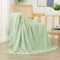 Cream Green Fleece Throw Blanket 50”×60” for Couch Sofa Livingroom (Cream Green / 50×60inch)