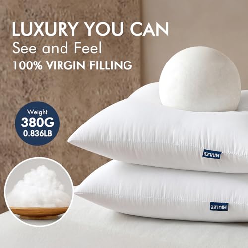 16x16 Throw Pillows Inserts 2 Pack (16x16 Inch)